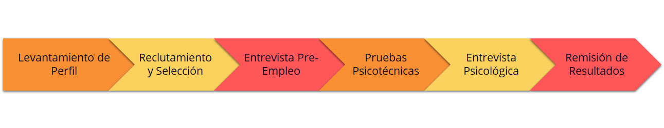 Proceso_Selección