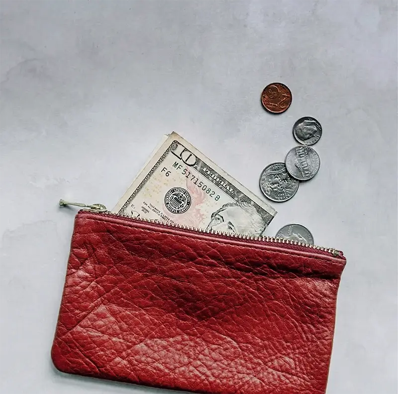 Serintegrales Monedero